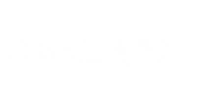 भागीदार जो vegas11 के साथ काम करते हैं